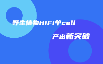 助力种质资源研究｜澳门威尼克斯人野生植物HiFi单cell产出突破45G！